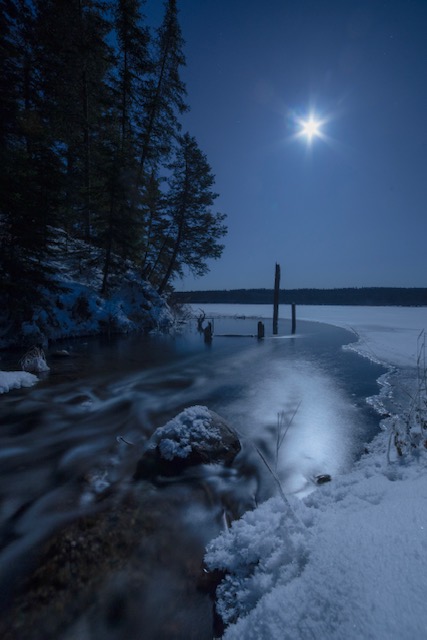 Winter photo with moonlight in Saskatchewan, Canada