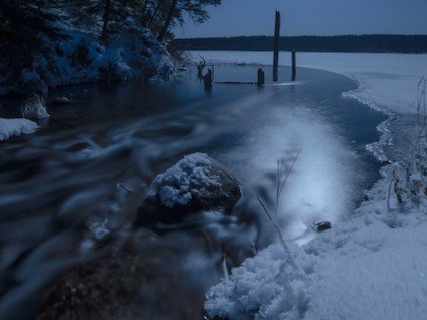 Frost under the Moonlight
