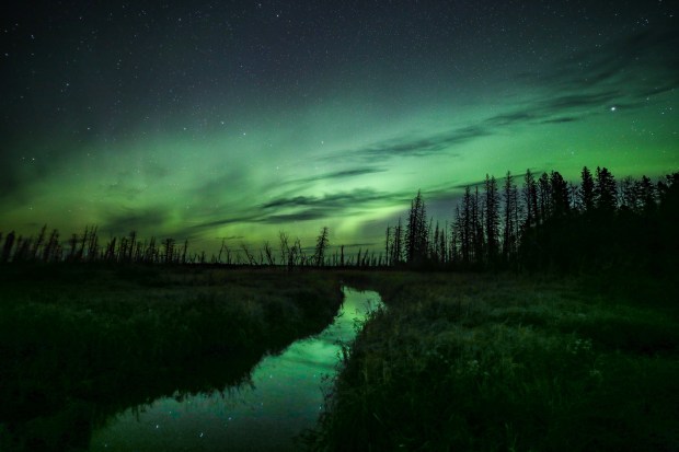 Aurora Borealis in the Boreal Forest in Saskatchewan, Canada