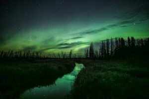 Aurora Borealis in the Boreal Forest in Saskatchewan, Canada