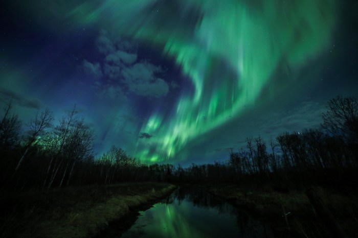 The Celestial Wonders of the Night Sky – Northern Escape Photography