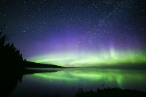 Northern lights Saskatchewan Boreal forest  Canada