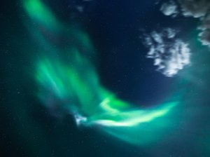 Aurora Borealis in the Boreal Forest in Saskatchewan, Canada