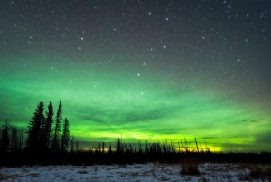 Northern Lights and Forest