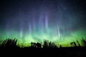 Northern lights in boreal forest Saskatchewan Canada